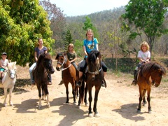FBR horse kids